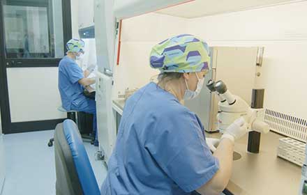 Il Test Genetico Pre-Impianto è un esame genetico che viene effettuato dal Centro CMR sugli embrioni ottenuti attraverso la Fecondazione Artificiale in Vitro.
